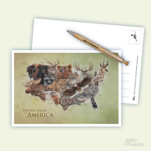 Postcard Beast of Paradise | United States of America, Wildlife 