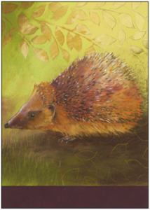 Postcard Loes Botman | Hedgehog