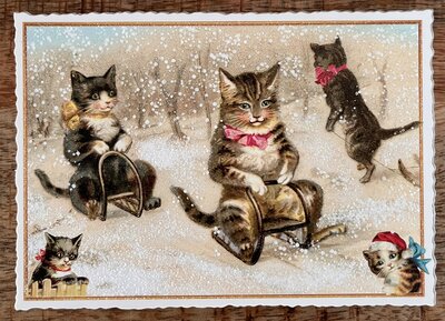 PK 1176 Tausendschön Postcard Christmas – Cats on Sleds