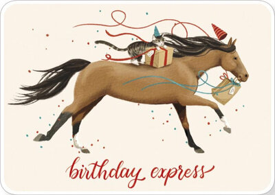 Rosi Hilyer Postcard - birthday express