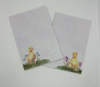 A5 Notepad Chicks - by StationeryParlor