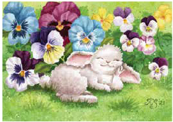 Postcard 378 by Katja Saario - Bunny between Violets