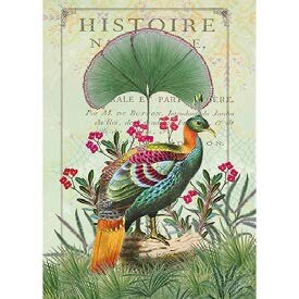 Postcard Gwenaëlle Trolez Créations - Peacock