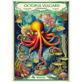 Postcard Gwenaëlle Trolez Créations - Octopus Vulgaris