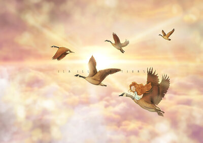 PRE ORDER: Postcard Ila Illustrations 171 The Flight