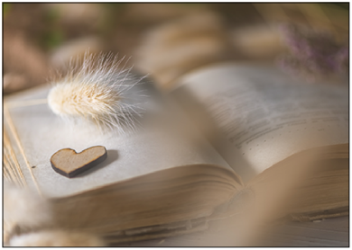 Postcard | Book with heart