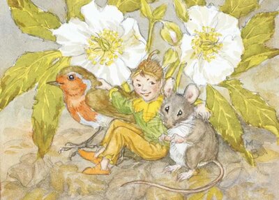 Postcard Molly Brett | Underneath a Christmas Rose