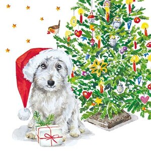 Carola Pabst Postcard | Dog and Christmas Tree