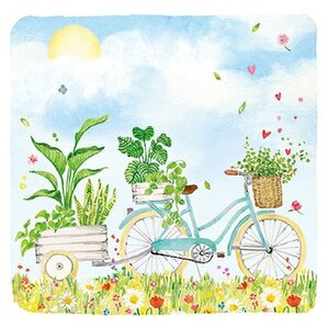 Carola Pabst Postcard | Bicycle