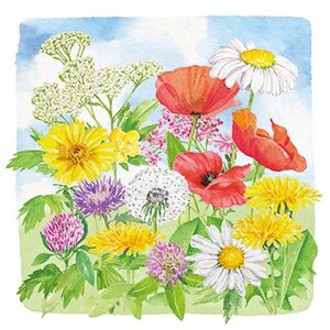 Carola Pabst Postcard | Summer flowers