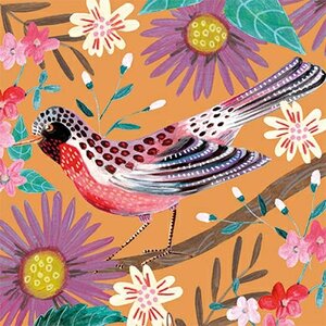 Caroline Bonne-Müller Postcard | Vogel