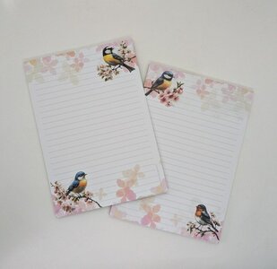 A5 Notepad Spring Birds - by StationeryParlor