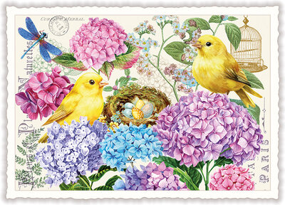 PK 1330 Tausendschön Postcard - Hydrangeas