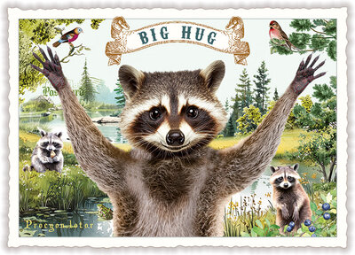 PK 1322 Tausendschön Postcard - Big Hug