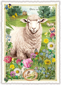 PK 1318 Tausendschön Postcard - Sheep