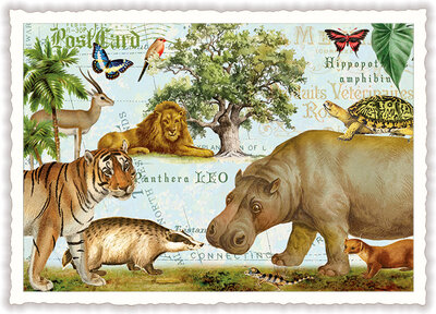 PK 1328 Tausendschön Postcard - Hippo and friends