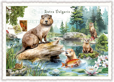 PK 1324 Tausendschön Postcard - Otter