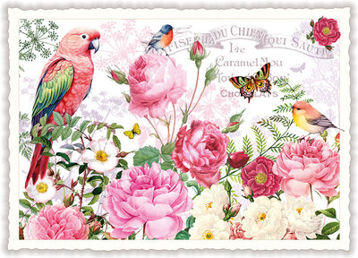 PK 1331 Tausendschön Postcard - Rose Paradise