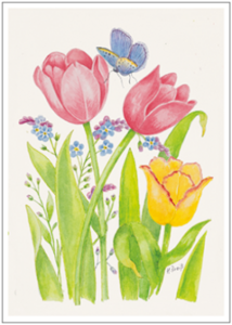 Postcard | Pink attracts blue (tulips and butterfly)