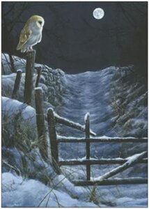 Postcard | The Hunter's Moon - Barn Owl, 2018