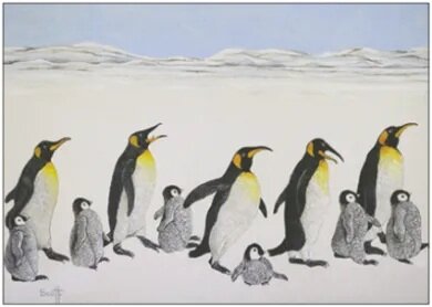 Postcard | The learning curve