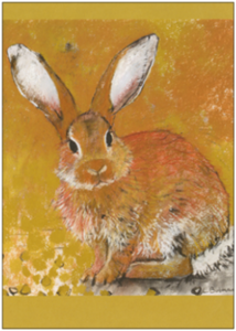Postcard Loes Botman | Rabbit II