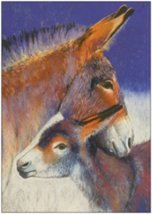 Postcard Loes Botman | Donkey with young