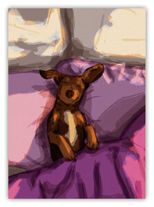 Hessah Art Postcard - sleeping dog