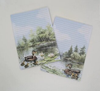 A5 Notepad Ducks - by StationeryParlor