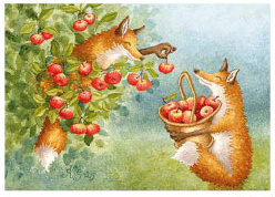 Postcard 491 by Katja Saario - Apple Picking