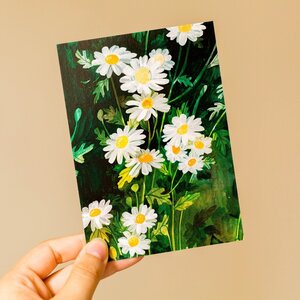 Wild Pencil Studio Postcard - Daisies
