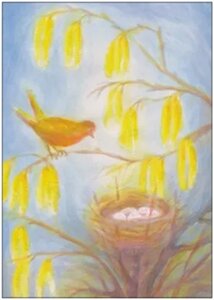 Postcard - Bird at the nest