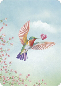 M.M. Postcard - Le colibri