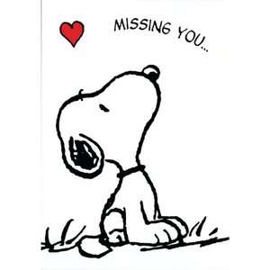 A6 Postcard Peanuts - Snoopy and Woodstock 