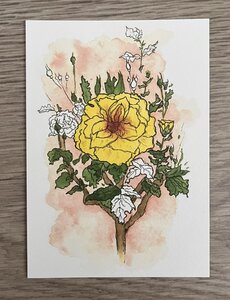 Wildgardens Postcard - Yellow Rose