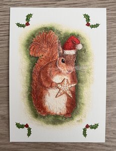 Wildgardens Postcard - Christmas Squirrel