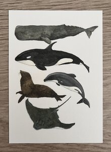 Wildgardens Postkarte - Zeeleven potvis