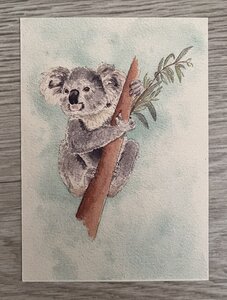 Wildgardens Postcard - Koala