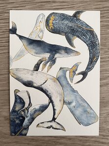 Wildgardens Postcard - Whales