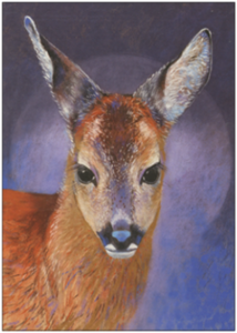 Postcard Loes Botman | Quiet Alertness
