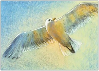 Postcard Loes Botman | Freedom