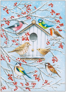 Postcard | Little winter birds