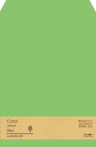 Color Your Life A4 Envelopes | Green