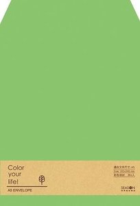 Color Your Life A5 Envelopes | Green