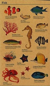 Kraft Stickers | Fish