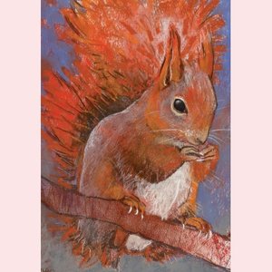 Postcard Loes Botman | Squirrel