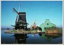 Postcard | Five Windmills in Zaanse Schans, Holland