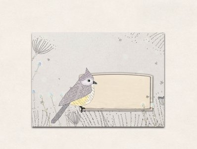 10 x Envelope TikiOno | Crested Tit