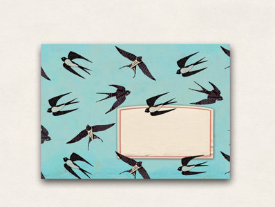 10 x Envelope TikiOno | Swallows