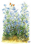 Inge Look Nr. 107 Postkarte Garden | Flowers and butterfly